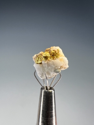 Gold in Quartz from Mother Lode Belt, Sierra Nevada Foothills, California, USA [db_pics/update7/ML00953b.jpg]