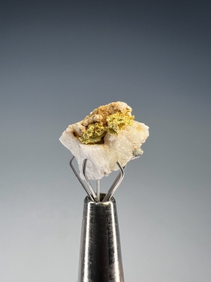 Gold in Quartz from Mother Lode Belt, Sierra Nevada Foothills, California, USA [db_pics/update7/ML00953c.jpg]