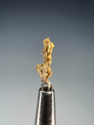 Gold from Eagle's Nest Mine, Sage Hill, Michigan Bluff, Placer Co., California, USA [db_pics/update7/ML00956a.jpg]