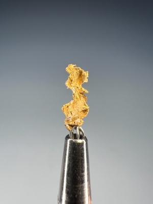 Gold from Eagle's Nest Mine, Sage Hill, Michigan Bluff, Placer Co., California, USA [db_pics/update7/ML00956b.jpg]