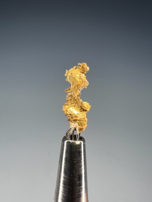 Gold from Eagle's Nest Mine, Sage Hill, Michigan Bluff, Placer Co., California, USA [db_pics/update7/ML00956d.jpg]