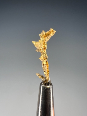 Palladium-Rich Gold from Near Icabaru, Gran Sabana, Venezuela [db_pics/update7/ML00957c.jpg]