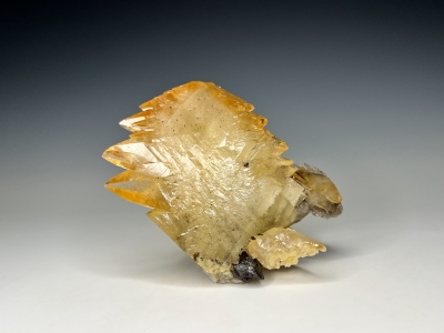 Calcite & Sphalerite from Gordonsville Mine, Carthage, Smith County, Tennessee, USA [db_pics/update7/ML00973a.jpg]