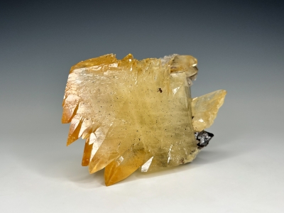 Calcite & Sphalerite from Gordonsville Mine, Carthage, Smith County, Tennessee, USA [db_pics/update7/ML00973c.jpg]
