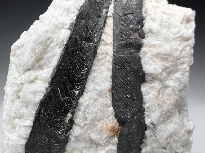 Columbite-Tantalite from Globe Mine, Petaca, Rio Arriba County, New Mexico, USA [db_pics/update7/ML00978c.jpg]