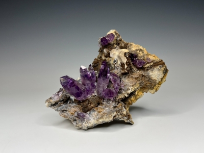 Quartz var. Amethyst from La Sorpresa Mine, Amatitlan, Guerrero, Mexico [db_pics/update7/ML00979a.jpg]