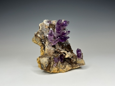 Quartz var. Amethyst from La Sorpresa Mine, Amatitlan, Guerrero, Mexico [db_pics/update7/ML00979b.jpg]