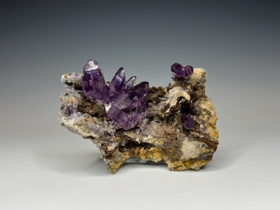 Quartz var. Amethyst from La Sorpresa Mine, Amatitlan, Guerrero, Mexico [db_pics/update7/ML00979c.jpg]