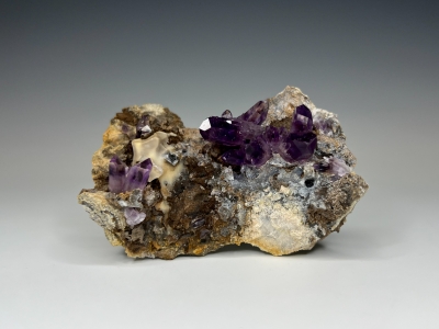 Quartz var. Amethyst from La Sorpresa Mine, Amatitlan, Guerrero, Mexico [db_pics/update7/ML00979d.jpg]