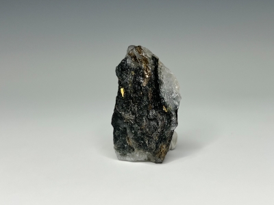 Gold from 21 Ledge, Below 6800' Level, Homestake Mine, Lead, Lawrence Co., South Dakota, USA [db_pics/update7/ML00999a.jpg]