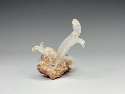 Gypsum from Bou Bekker, Jerada Province, Oriental Region, Morocco [db_pics/update7/ML01023a.jpg]