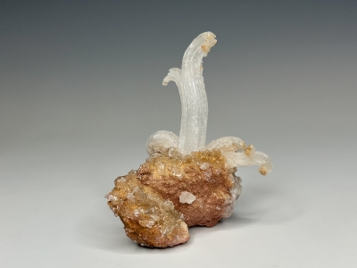 Gypsum from Bou Bekker, Jerada Province, Oriental Region, Morocco [db_pics/update7/ML01023b.jpg]