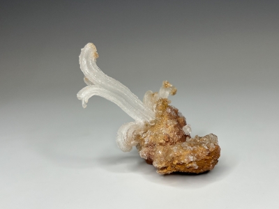 Gypsum from Bou Bekker, Jerada Province, Oriental Region, Morocco [db_pics/update7/ML01023c.jpg]