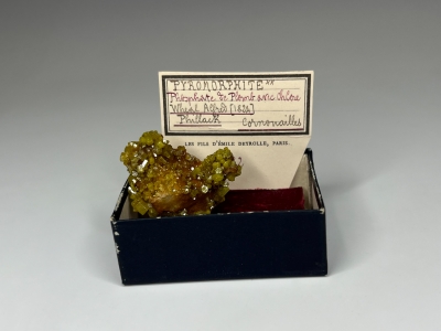 Pyromorphite from Wheal Alfred, Hayle, Cornwall, England, UK [db_pics/update7/ML01026d.jpg]