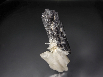 Hubnerite with Quartz from Pasta Bueno, Peru [db_pics/zowater/DZ1302a.jpg]