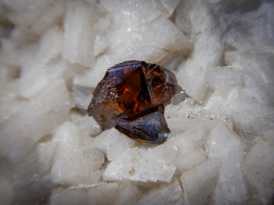 Sphalerite on Dolomite from Penfield Quarry, New York USA [db_pics/zowater/DZ1308b.jpg]