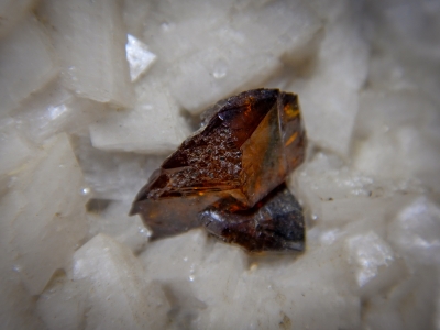 Sphalerite on Dolomite from Penfield Quarry, New York USA [db_pics/zowater/DZ1308c.jpg]