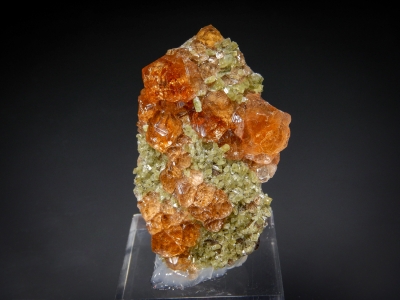 Grossular on Diopside from Jeffery Quarry, Asbestos, Quebec, Canada [db_pics/zowater/DZ2006a.jpg]