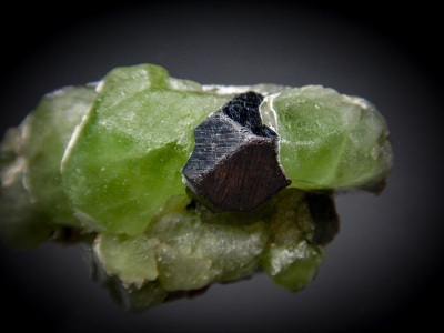 Peridot with Magnetite from Sapat, Kaghan Valley, Mansehra District, Pakistan [db_pics/zowater/DZ2309b.jpg]