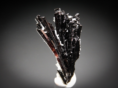 Hubnerite from Pasto Bueno, Peru [db_pics/zowater/DZ2808a.jpg]