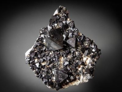 Magnetite from Cerro Huanaquino, Totora, Dept. Potosi, Bolivia [db_pics/zowater/DZ3001a.jpg]