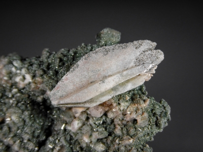 Titanite from Acushnet, Bristol County, Massachusets, USA [db_pics/zowater/DZ3907b.jpg]