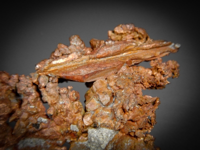 Copper from Karaganda Oblast, Kazakhstan [db_pics/zowater/DZ4107b.jpg]