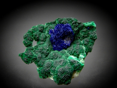 Azurite & Malachite from Milpillas Mine, Municipo de Cananea, Sonora, Mexico [db_pics/zowater/DZ4310a.jpg]