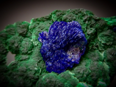 Azurite & Malachite from Milpillas Mine, Municipo de Cananea, Sonora, Mexico [db_pics/zowater/DZ4310b.jpg]