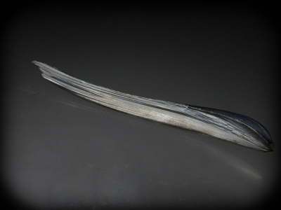 Hematite Feather from Montreal Mine, Iron County, Wisconsin USA [db_pics/zowater/DZ4509b.jpg]