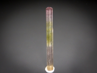 Tourmaline from Himalaya Mine, Mesa Grande District, San Diego County, California, USA [db_pics/zowater/DZ5504a.jpg]