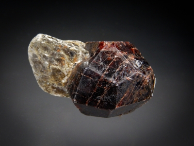 Almandine Garnet with Muscovite from Springfield, New Hampshire, USA [db_pics/zowater/DZ5701a.jpg]