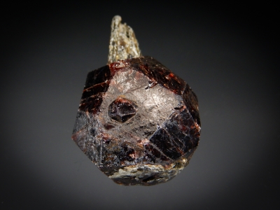 Almandine Garnet with Muscovite from Springfield, New Hampshire, USA [db_pics/zowater/DZ5701b.jpg]